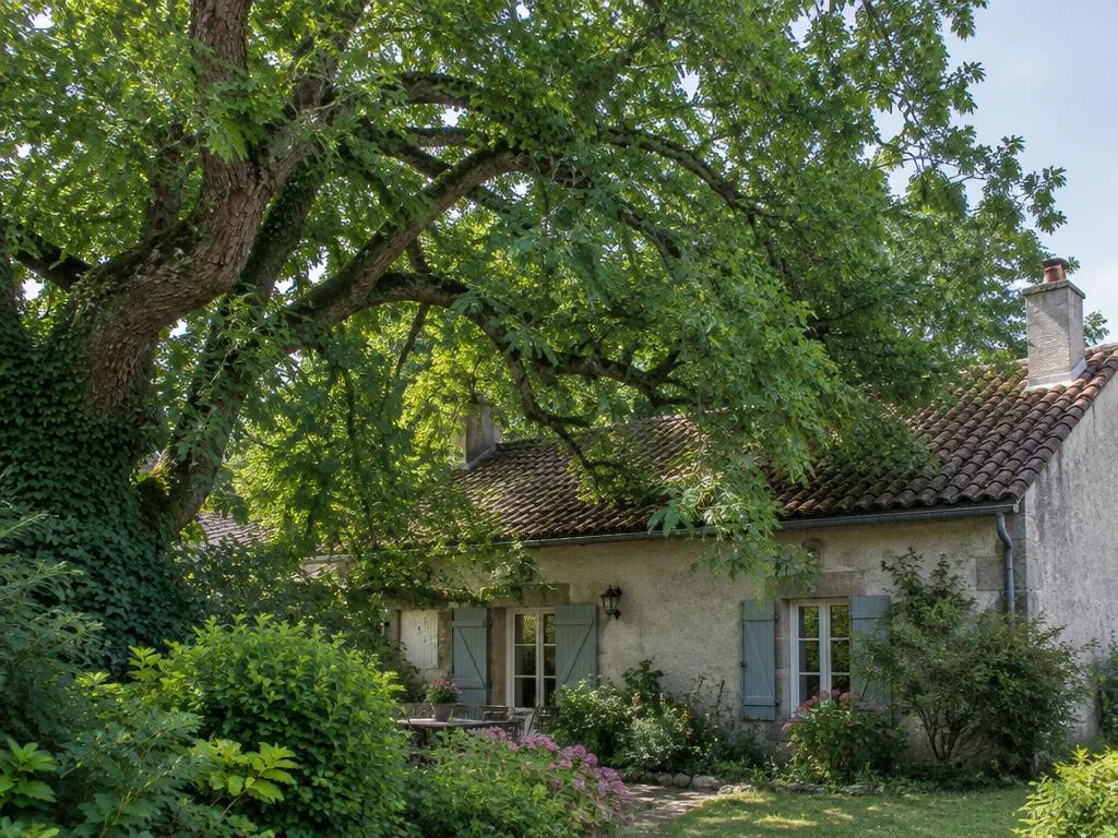 Arbre envahissant au-dessus d'une maison à Pontoise avant élagage